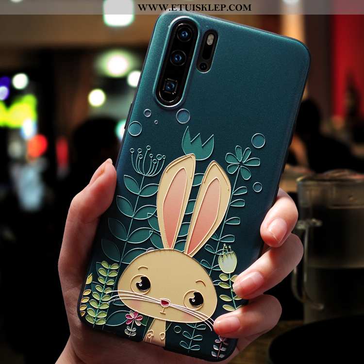 Futerał Huawei P30 Pro Kreskówka Silikonowe Miękki Super Zielony Etui Na Sprzedaż