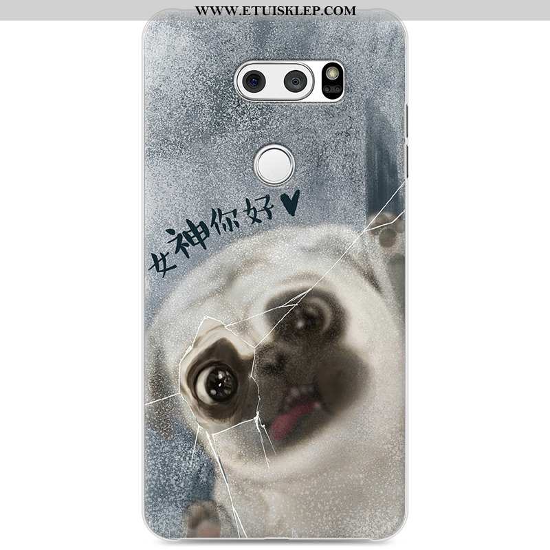 Obudowa Lg V30 Ochraniacz Trendy Etui Telefon Komórkowy Futerał Piękny Szary Online