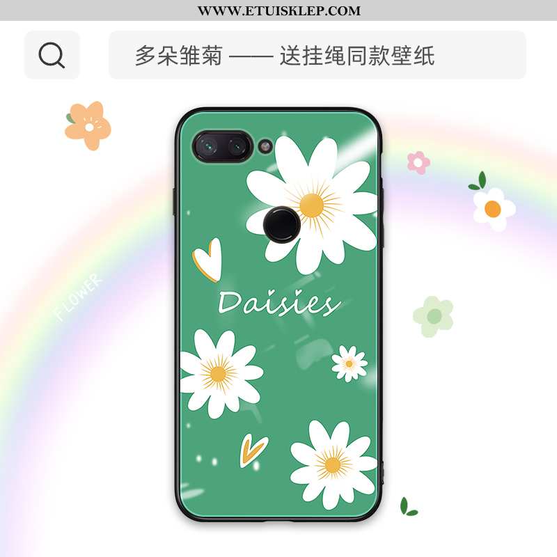 Pokrowce Xiaomi Mi 8 Lite Trendy Ochraniacz Szkło Młodzież Futerał All Inclusive Piękny Na Sprzedaż