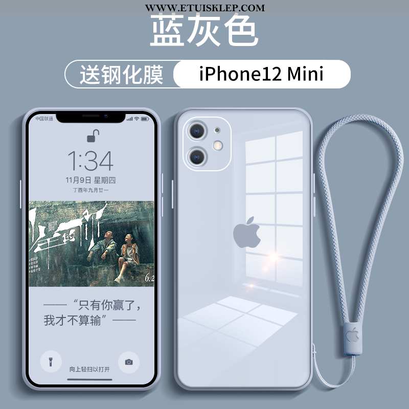 Pokrowce iPhone 12 Mini Ochraniacz Telefon Komórkowy Anti-fall Trendy Futerał Nowy Etui Tanie