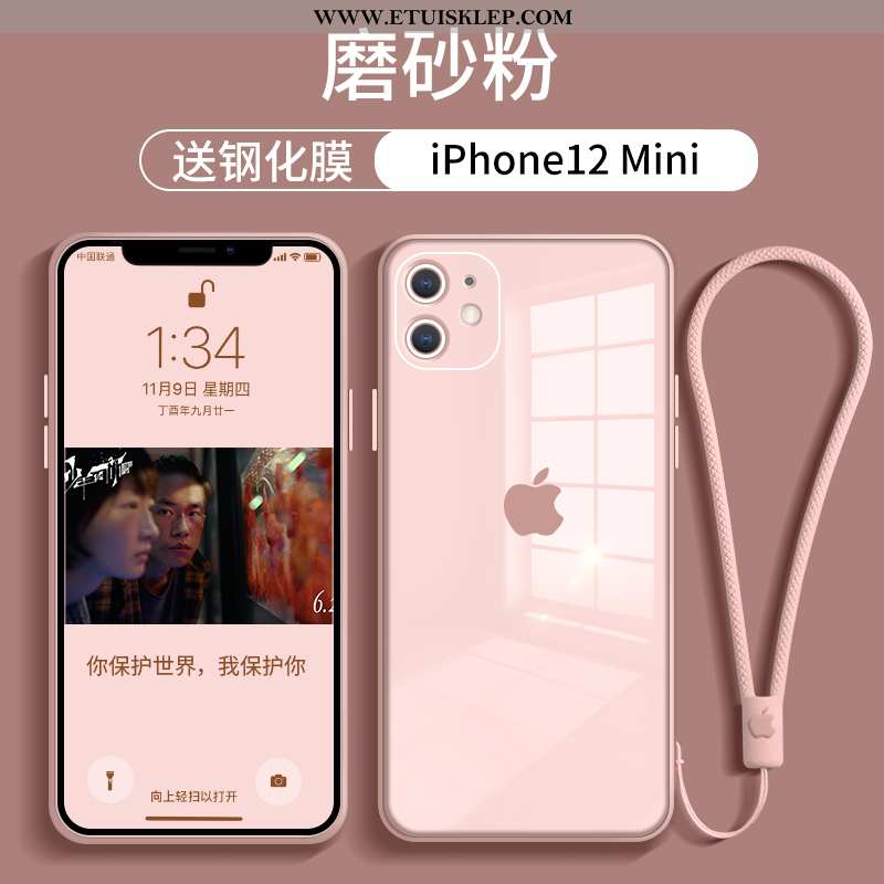 Pokrowce iPhone 12 Mini Ochraniacz Telefon Komórkowy Anti-fall Trendy Futerał Nowy Etui Tanie